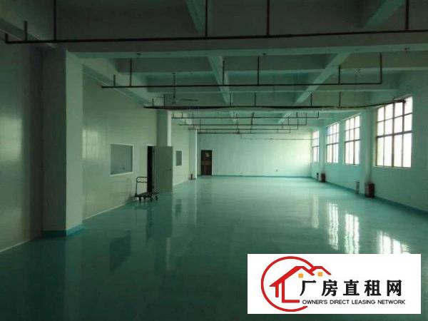 
观兰君子布环观南路旁3楼1000平米带装修厂房出租