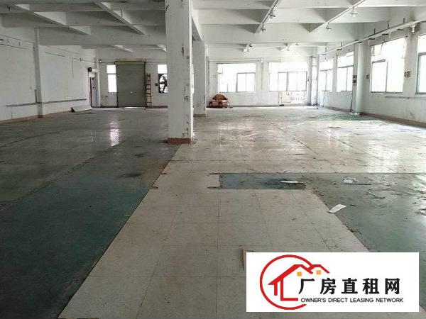
观澜茜坑科技园整层480平起分，精装修无转让费招商