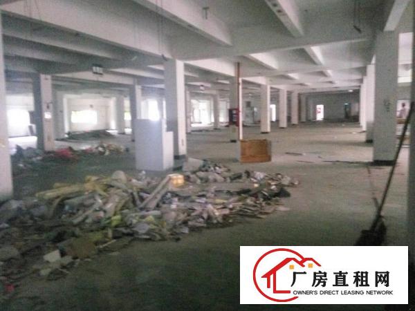 
观澜梅观高速出口新出三楼4000平方厂房出租