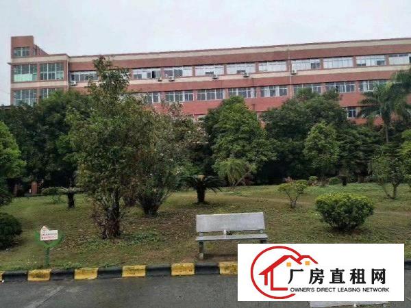 
塘厦大坪高速出口分租一楼1200平米园区形象漂亮