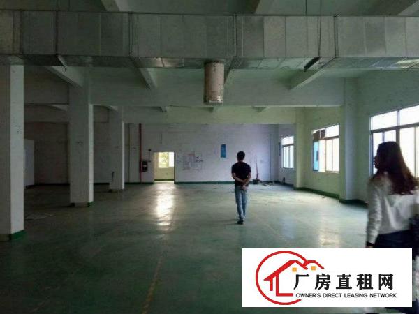 
塘厦田心新出花园式独院原房东厂房7600平方出租
