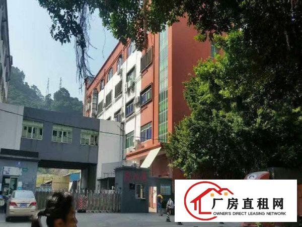 
塘厦石马临近天堂围独院楼上1500平米带消防喷淋