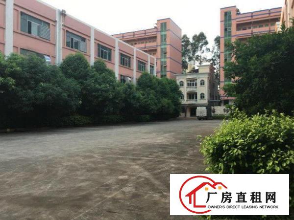 
塘厦平山独院楼上650平方现成装修，地段旺！易招工