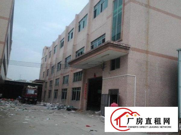 
塘厦石马新出标准一楼1300平方米厂房出租