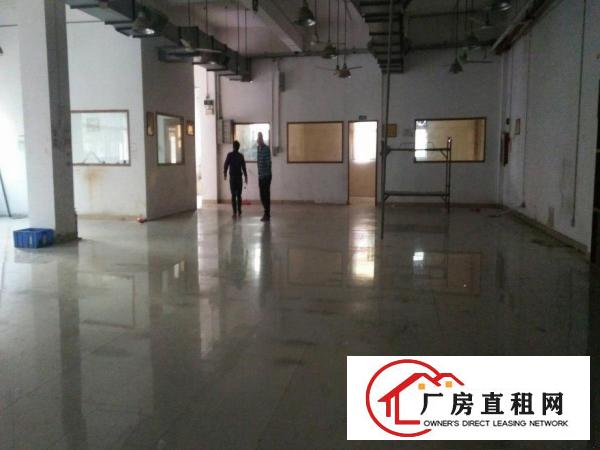 
塘厦大坪高速出口3000平方米花园式厂房出租