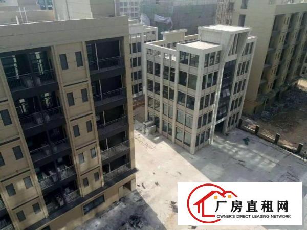 
塘厦石鼓高科技产业园13500平方米花园式厂房出租