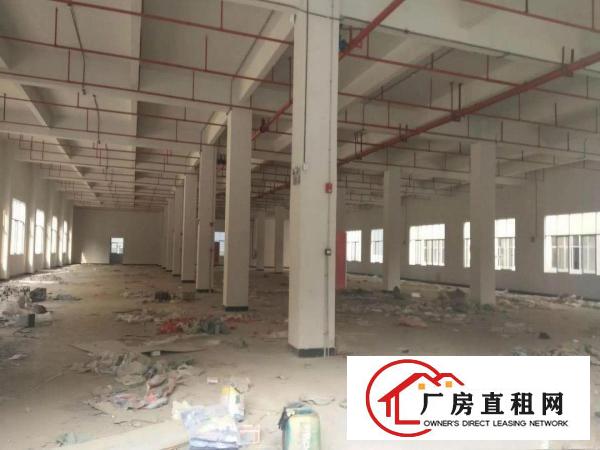 
塘厦石鼓高科技产业园13500平方米花园式厂房出租