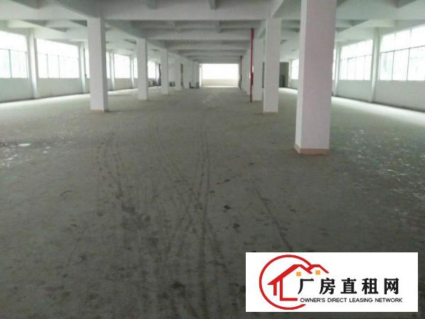 
塘厦靠深圳大坪高速出口13000平方米厂房出租
