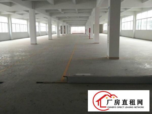 
塘厦靠深圳大坪高速出口13000平方米厂房出租