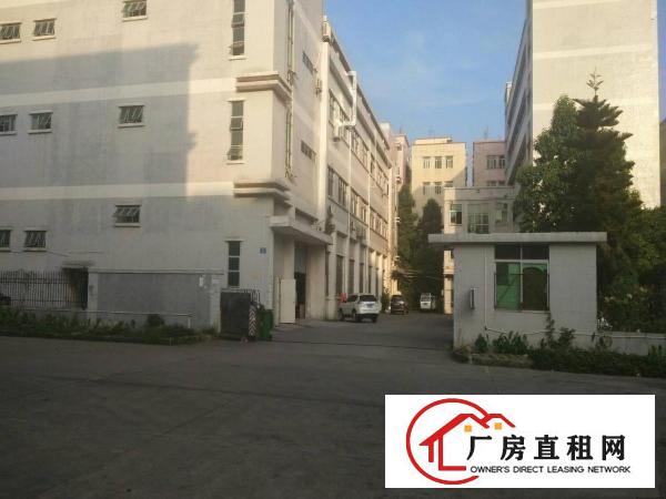 
塘厦田心市场新出楼上1600平米厂房出租