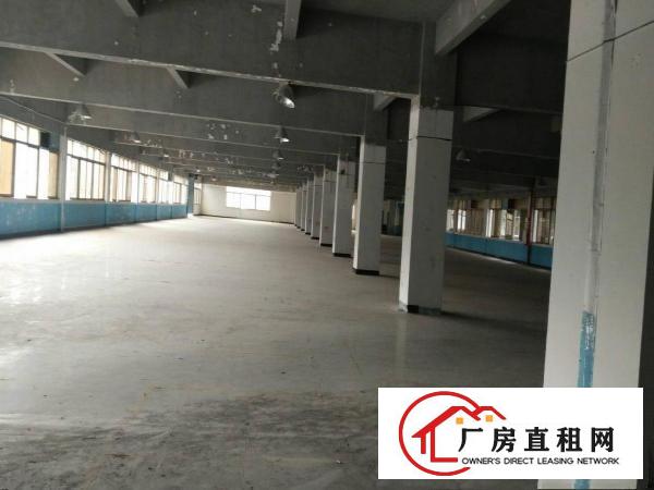 
塘厦田心市场新出楼上1600平米厂房出租