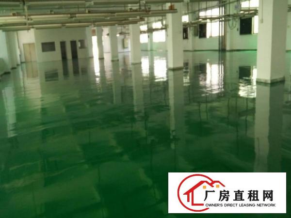 
塘厦从莞高速出口附近新出楼上2500平方米厂房出租
