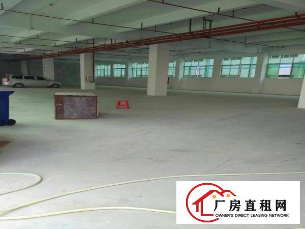
塘厦靠深圳5万花园式工业园厂房分租