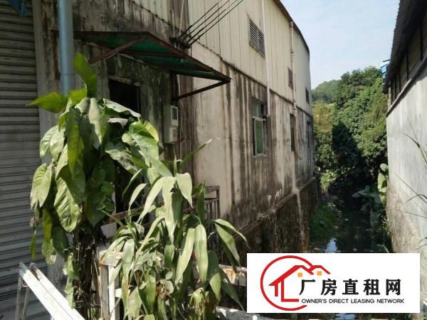 
塘厦龙背岭靠山新出独门独院1080厂房出租
