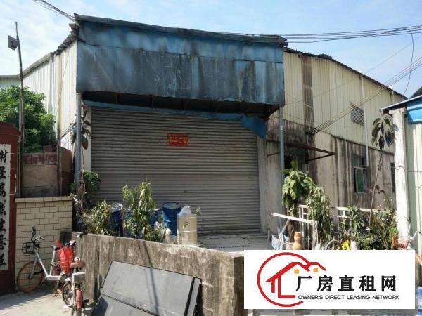 
塘厦龙背岭靠山新出独门独院1080厂房出租