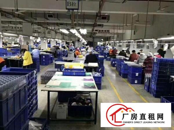 
东莞塘厦蛟乙塘沙湖独院标准厂房办公楼装修洁净车间