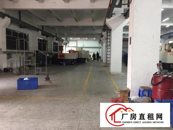 
塘厦沙湖独院标准厂房大屏出口1公里观澜桂花5分钟