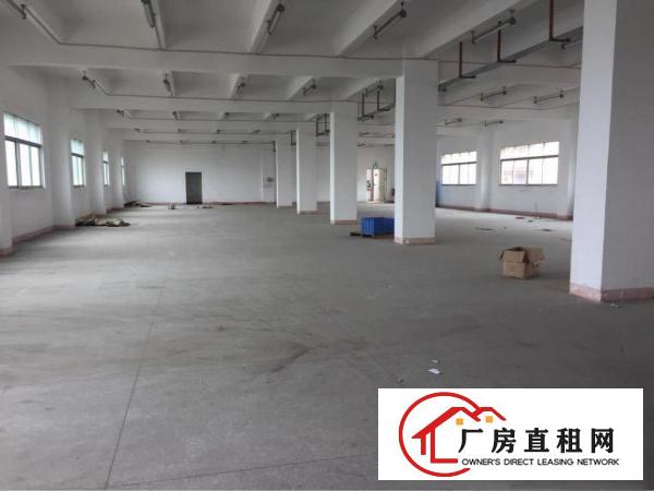 
塘厦沙湖独院标准厂房大屏出口1公里观澜桂花5分钟