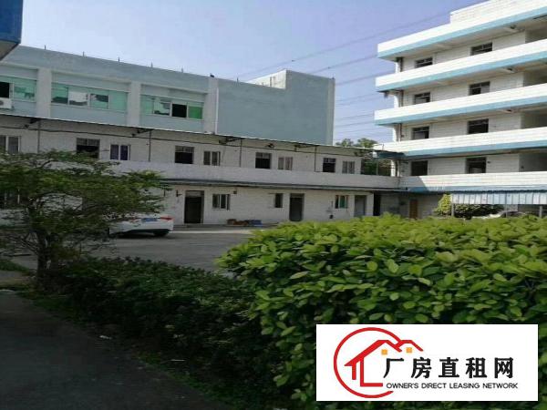 
塘厦科苑城厂房8600平米