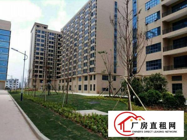 
塘厦沙湖工业区独院厂房3000平米带装修办公室/可分租
