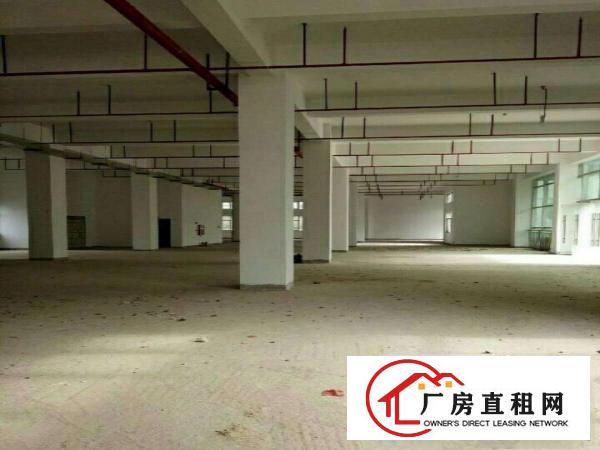 
塘厦沙湖工业区独院厂房3000平米带装修办公室/可分租