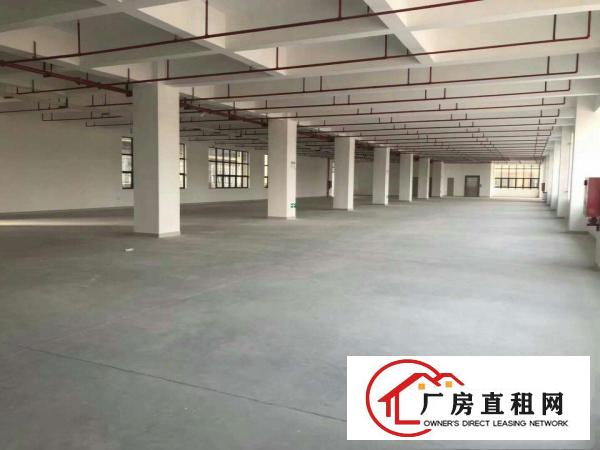 
塘厦沙湖工业区独院厂房3000平米带装修办公室/可分租