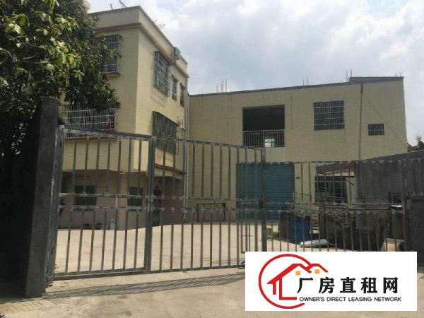 
塘厦蛟乙塘1000平方米二层独栋标准厂房招租