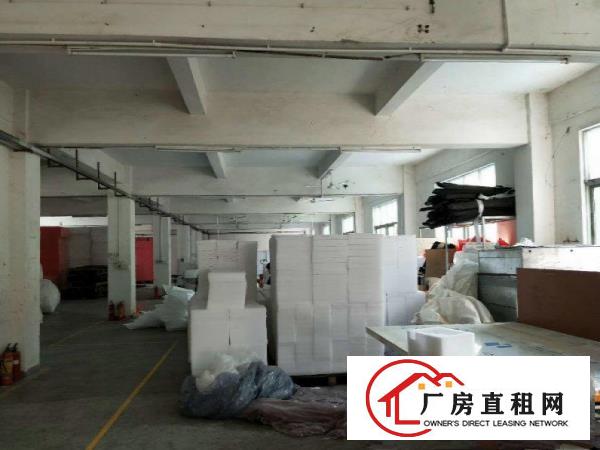 
塘厦沙湖新出厂房两层1600平方可分租，精装办公室