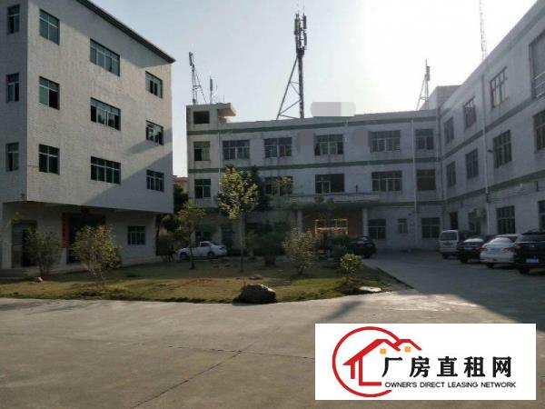 
塘厦沙湖新出厂房两层1600平方可分租，精装办公室