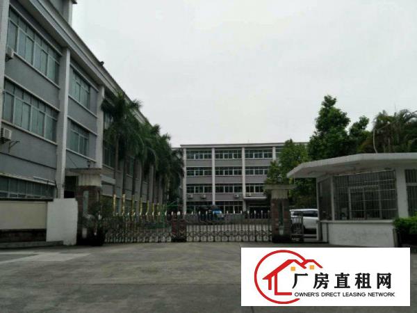 
塘厦田心一楼标准厂房1300平米出租厂房形象漂亮