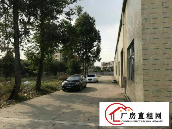 
原房东厂房出租，无公滩