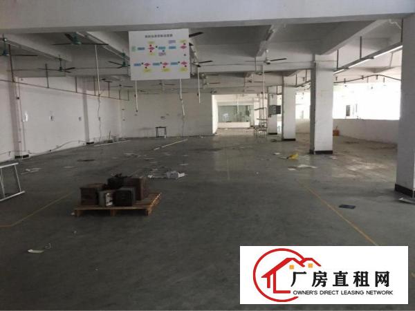 
塘厦3000平2000平厂房出租13元3吨电梯