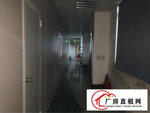 
塘厦大屏千级无尘车间1500平无转让费豪华办公室