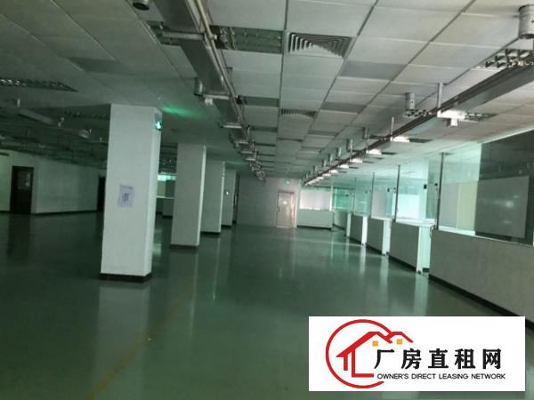 
塘厦高速出口原房东独栋厂房3000平米出租