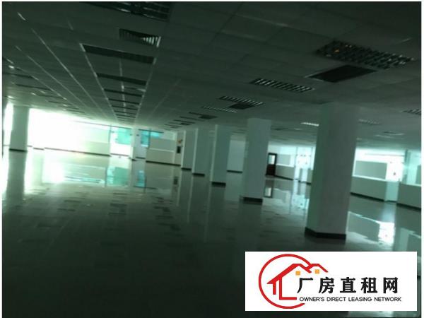 
塘厦高速出口原房东独栋厂房3000平米出租