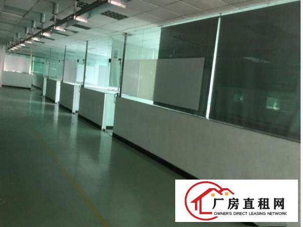 
塘厦高速出口原房东独栋厂房3000平米出租