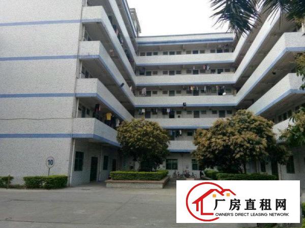
塘厦红本独院标准厂房22500平方火爆招租