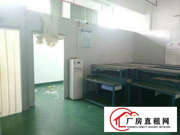 
塘厦清湖头独院1楼668平方现成主线，带现成办公室