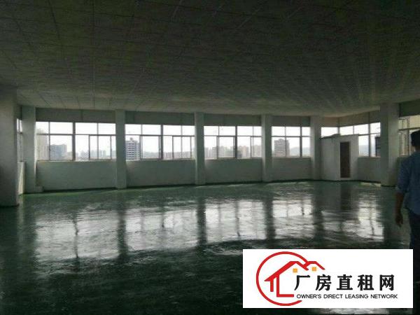 
大坪1200 1630平方米楼上厂房/地坪漆和吊顶