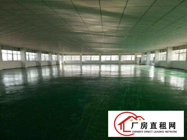 
大坪1200 1630平方米楼上厂房/地坪漆和吊顶