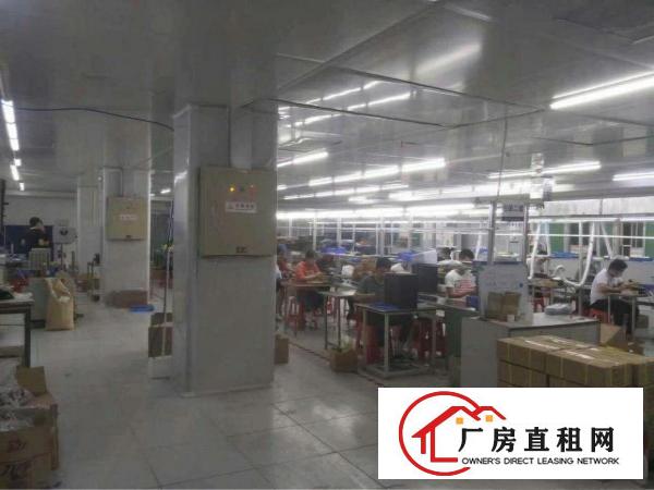 
塘厦大屏高速出口500米洁净车间2000平16元