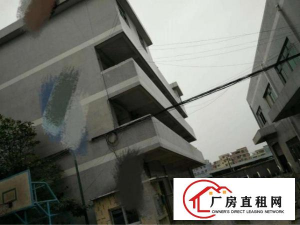 
塘厦原房东小独院2700平出租16元