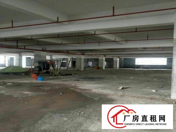 
沙湖独栋新建重工业厂房招租！整层覆盖消防喷淋！