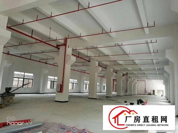 
沙湖独栋新建重工业厂房招租！整层覆盖消防喷淋！