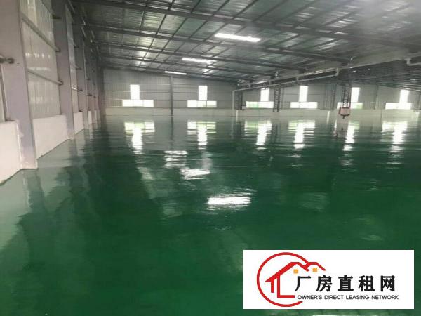 
田心全新8米高钢构厂房，可分租