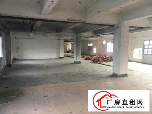 
塘厦新出楼上厂房1700平方米自带水电装修出租