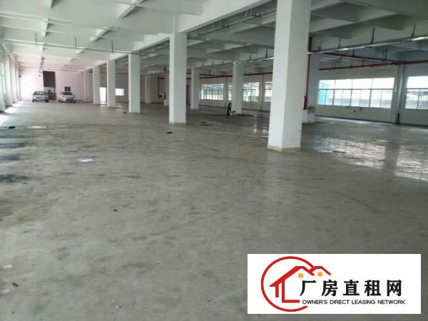 
塘厦科苑城田心新出标准一楼2000平米厂房出租