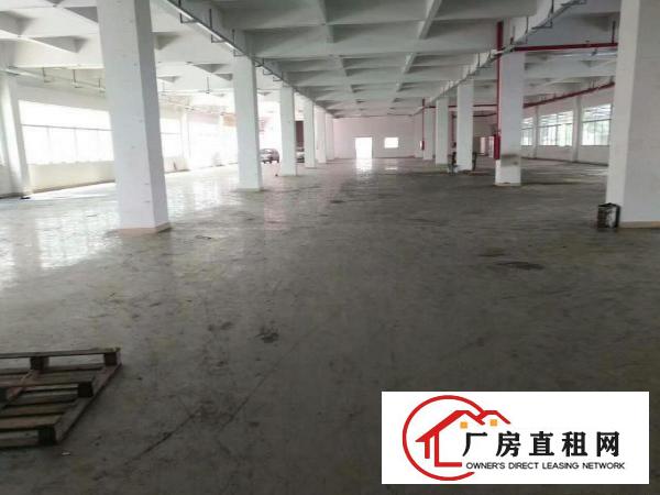 
塘厦科苑城田心新出标准一楼2000平米厂房出租