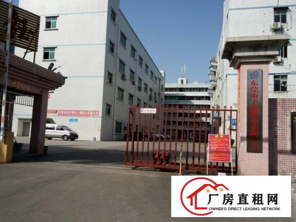 
塘厦蛟已塘全新标准一楼400平米带装修厂房出租
