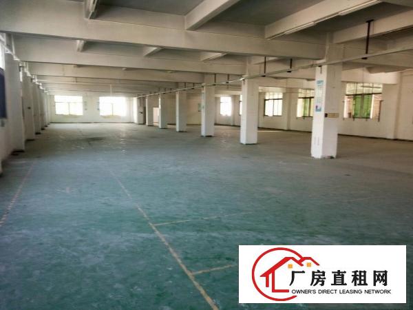 
塘厦大坪高速出口标准楼上1000平米低价出租